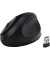 Maus Pro Fit Ergo K75404EU kabellos schwarz