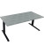 Sitz-Steh-Schreibtisch All in One, elektrisch höhenverstellbar, 64,5-127,5cm (H), 180x80cm (BxT), rechteckig, beton hell / anthr