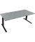 Sitz-Steh-Schreibtisch All in One, elektrisch höhenverstellbar, 64,5-127,5cm (H), 200x80cm (BxT), rechteckig, beton hell / silbe
