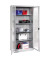 Werkzeugschrank 8921055S10058 Fenstertür 1950x930x500mm lgr/lgr