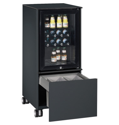 Kühlschrankcaddy 54780010S10019 Abfallsammler sgr/sgr