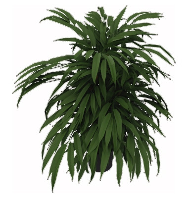 Kunstpflanze Ficus 360Blatt Höhe 800mm Kunststofftopf