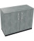 Aktenschrank endless 820113283, abschlie&szlig;bar, 2 OH, beton hell, 100x78,1x44,2cm (BxHxT)