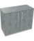 Aktenschrank endless 820113383, abschlie&szlig;bar, 2 OH, beton hell, 100x78,1x44,2cm (BxHxT)