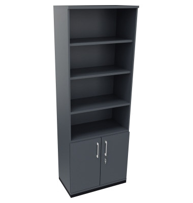 Kombischrank 2OH Tür 4OH Regal B800xT442xH2221mm an/Lavagrau