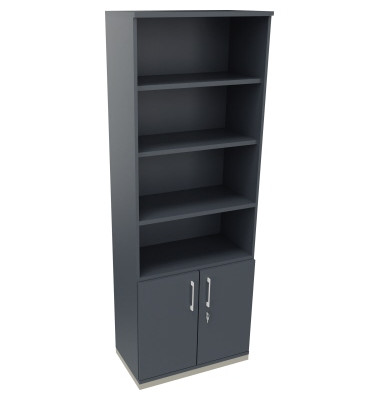 Kombischrank 2OH Tür 4OH Regal B800xT442xH2221mm si/Lavagrau