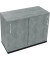 Schiebet&uuml;renschrank endless 820118983, abschlie&szlig;bar, 2 OH, beton hell, 100x78,1x44,2cm (BxHxT)