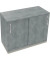 Schiebet&uuml;renschrank endless 820119083, abschlie&szlig;bar, 2 OH, beton hell, 100x78,1x44,2cm (BxHxT)