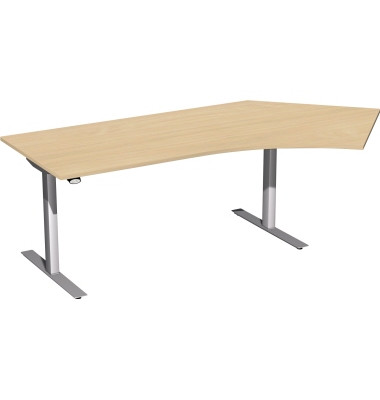 Sitz-Steh-Schreibtisch Elektro Flex, elektrisch höhenverstellbar, 65-125cm (H), 216,6x113cm (BxT), Freiform, buche / silber