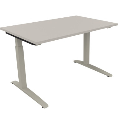 Schreibtisch All in One, manuell h&ouml;henverstellbar, 65-85cm (H), 120x80cm (BxT), rechteckig, lichtgrau / silberaluminium
