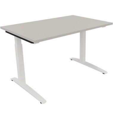 Schreibtisch All in One, manuell höhenverstellbar, 65-85cm (H), 120x80cm (BxT), rechteckig, lichtgrau / weiß