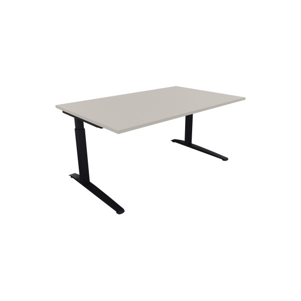 4003969072954 - Schreibtisch All in One 810024481 manuell höhenverstellbar 65-85cm (H) 160x100cm (BxT) rechteckig lichtgrau   anthrazitmetal