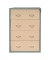 H&auml;ngeregistraturschrank 111019, silber/ahorn, 4 Schubladen, 2-bahnig