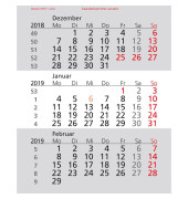 Ersatzkalendarium Für Tisch-Einsteckkalender 2024/2025