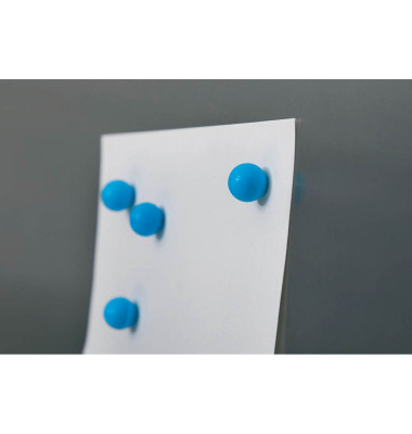 Neodym-Haftmagnete 6167535 rund 11,8mm Ø blau 600g Haftkraft