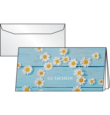 Gl&uuml;ckwunschkarten Daisy DS102 C6 21cm x 10,5cm (BxH) 220g mit vorgedruckten Textfeldern G&auml;nsebl&uuml;mchen motiv Karton, Kunststoff-k