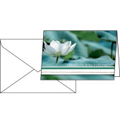 Trauerkarten Water Lily DS103 11,5cm x 17cm (BxH) 220g Herzliche Anteilnahme motiv Karton, Kunststoff-kaschiert FSC