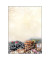 Motiv-Weihnachtsbriefpapier Winter Smell DP304 A4 90g 