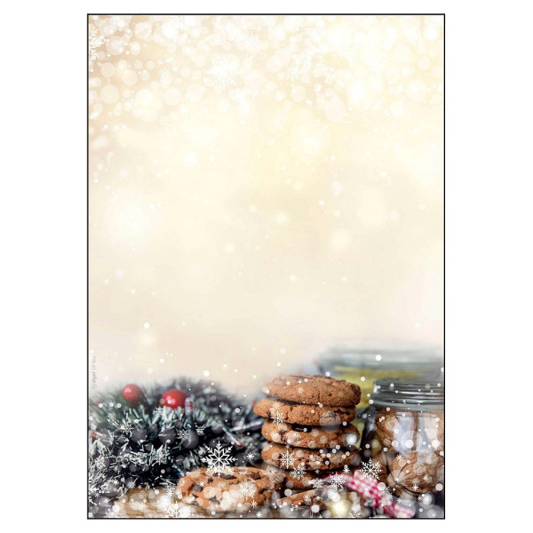 4004360809095 - Motiv-Weihnachtsbriefpapier Winter Smell DP304 A4 90g  4004360809095 25 Blatt