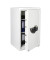 Sicherheitsschrank 41690 WS Office 804 E FP 300 170 l 300kg lichtgrau mit Fingerabdruckschloss Stahl