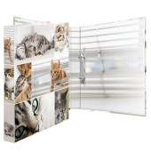 Ringbuch Animals Katzen Katzen 19428, A4 2 Ringe 25mm Ring-Ø Karton motiv