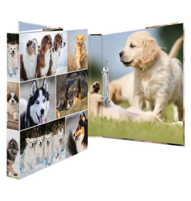 Ringbuch Animals Hunde 19427, A4 2 Ringe 25mm Ring-&Oslash; Karton motiv