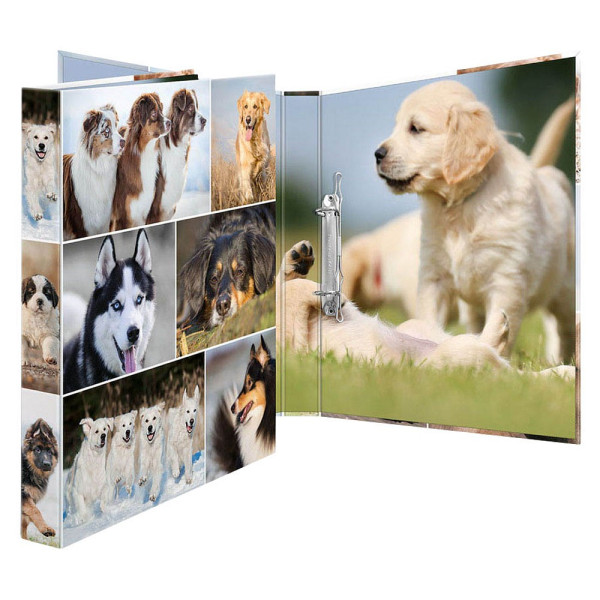 3 Stück Herma Ringbuch Animals Hunde Hunde 19427, A4 2 Ringe 25mm Ring-Ø Karton motiv 4008705194273 Herma