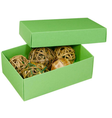 M Geschenkboxen 1,1 l grün 17,0 x 11,0 x 6,0 cm