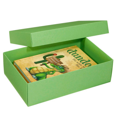 L Geschenkboxen 3,6 l grün 26,6 x 17,2 x 7,8 cm