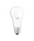 LED-Lampe LED STAR CLASSIC A 100 E27 13 W matt