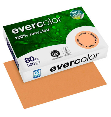 Recyclingpapier evercolor 40015C lachs A4 80g 