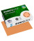 Recyclingpapier evercolor 40015C lachs A4 80g 