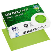 Recyclingpapier evercolor 40027C lindgrün A4 80g 