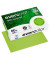 Recyclingpapier evercolor 40027C lindgrün A4 80g 