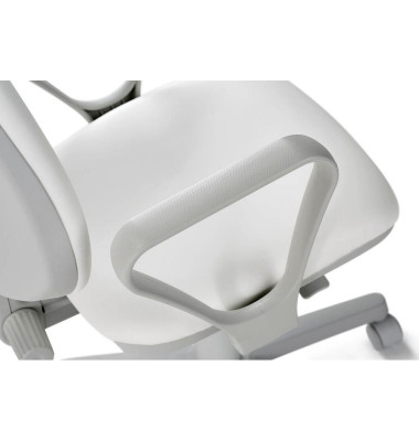 Bürostuhl-Armlehnen 8151g, lichtgrau Bürostuhl-Armlehnen 8151g, lichtgrau