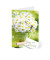 Geburtstagskarten Margeriten LU155 11,5cm x 17,5cm (BxH) 260g Motiv Chromopapier FSC