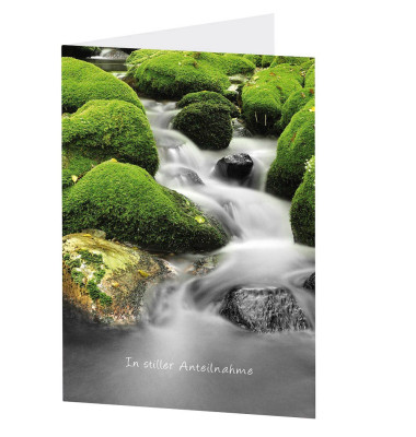 Trauerkarten Weg LU117 11,5cm x 17,5cm (BxH) 260g Motiv Chromopapier FSC Trauerkarten Weg LU117 11,5cm x 17,5cm (BxH) 260g Motiv Chromopapier FSC