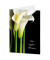 Trauerkarten schwarze Callas LU1243 11,5cm x 17,5cm (BxH) 260g Motiv Chromopapier FSC