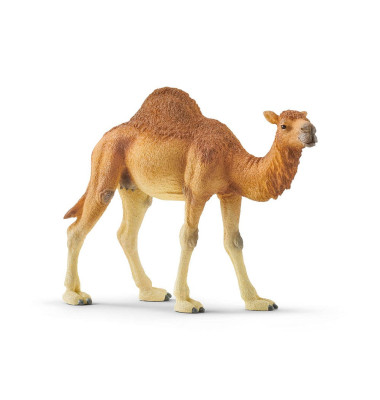 Wild Life 14832 Dromedar Spielfigur