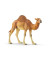 Wild Life 14832 Dromedar Spielfigur