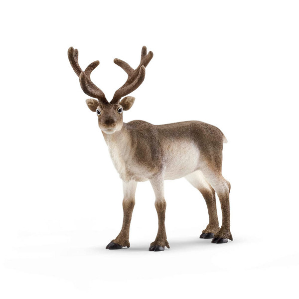 4059433013961 - Schleich® Wild Life 14837 Rentier Spielfigur 4059433013961 - Schleich® Wild Life 14837 Rentier Spielfigur