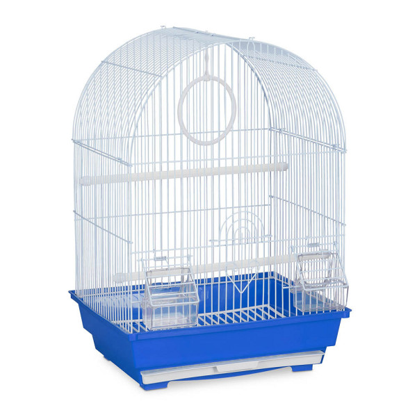 4052025309701 - Relaxdays - Vogelkäfig Käfig Kanarienvögel & Zebrafinken Sitzstangen Schaukel Futternäpfe hbt 495x345x31 cm blau 4052025309701 - Relaxdays - Vogelkäfig Käfig Kanarienvögel & Zebrafinken Sitzstangen Schaukel Futternäpfe hbt 495x345x31 cm blau