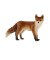 Wild Life 14782 Fuchs Figur