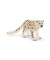 Wild Life 14838 Schneeleopard Figur