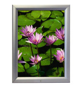 Plakat-Klapprahmen UCH255N0A0X2950, silber, A0, Aluminium