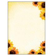 Motivpapier Field of Sun Motiv DIN A4 90 g/qm