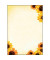 Briefpapier DP129, beige/orange, Sonnenblumen, A4, 90g