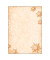 Motiv-Weihnachtsbriefpapier Golden Snwoflakes DP234 A4 90g 