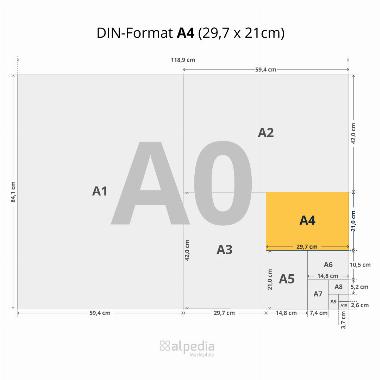 Druckerpatrone H100, 1722,4001 kompatibel zu HP 950XL schwarz