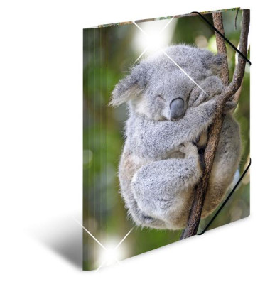 Gummizugmappe Sammelmappe A4 PP 19323, A4 Motiv Koala PP, mit 3 Einschlagklappen